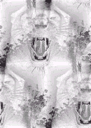 lion background