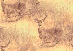 buck background