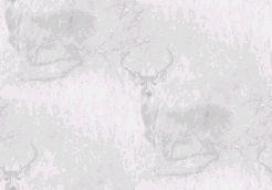 buck background