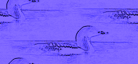 blue loon background