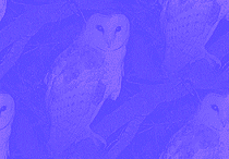 blue background