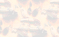 fishing tackle background