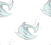here sharky,sharky,sharky