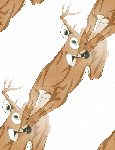 White background