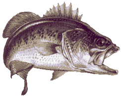 bucketmouth