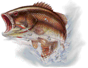 bass 8717 bytes