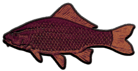 graphic award carp maybe