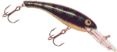 walleye diver