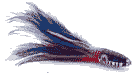fishing lure