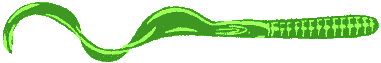 green worm