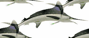 marlin wallpaper