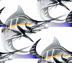 excellent Marlin wallpaper