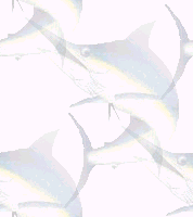 marlin