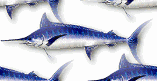 tiled marlin wallpaper