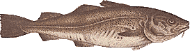 cod