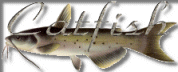 catfish logo