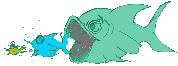 the food chain