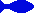 blue fish icon