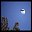 moon veiw