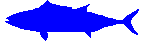 blue tuna