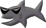 cool shark graphic