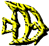 yellow angel fish graphic
