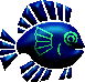beveled blue fish graphic