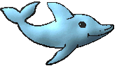 dolphin