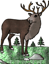elk graphic large