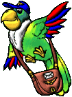email bird
