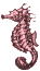 sea horse oachre