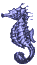 sea horse purple