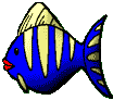 tiger fish
