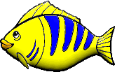 yellow and blue fish