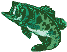 Jumping bass