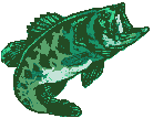 Jumping bass