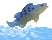 Fish out of water