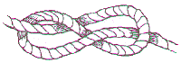 Figure Eight
