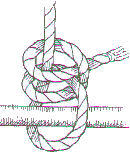 Half Hitch