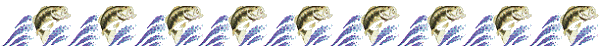 largemouth bass divider