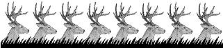 deer line
