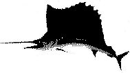 933 bytes