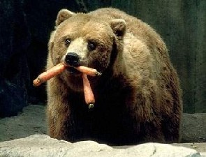 Vegetarian