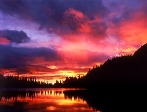 Mount Rainier National Park