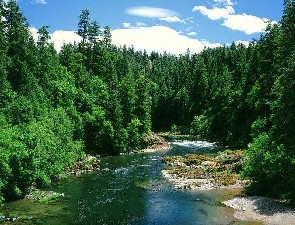 Umpqua River