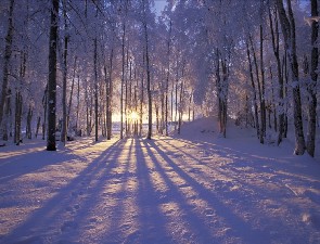 Winter Sunset