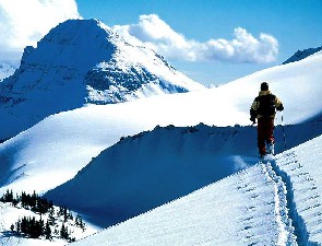 Backcountry Skier