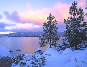 Colors Of Winter
