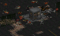 Massacre.