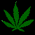 legalize this shit!